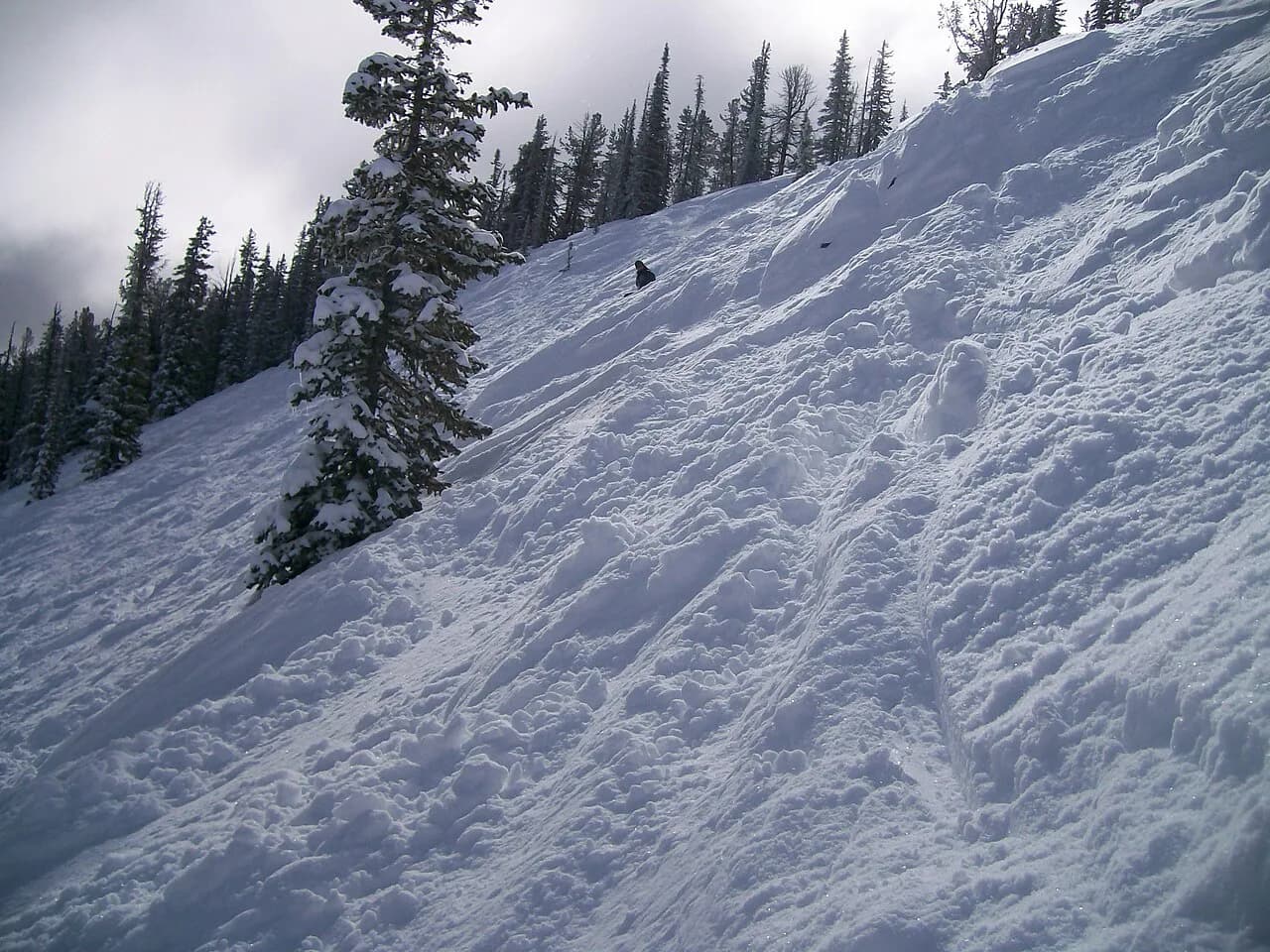 Powder-covered ski terrain at Discovery Ski Area